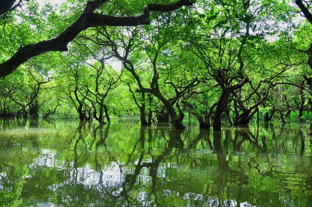 Late monsoon tour